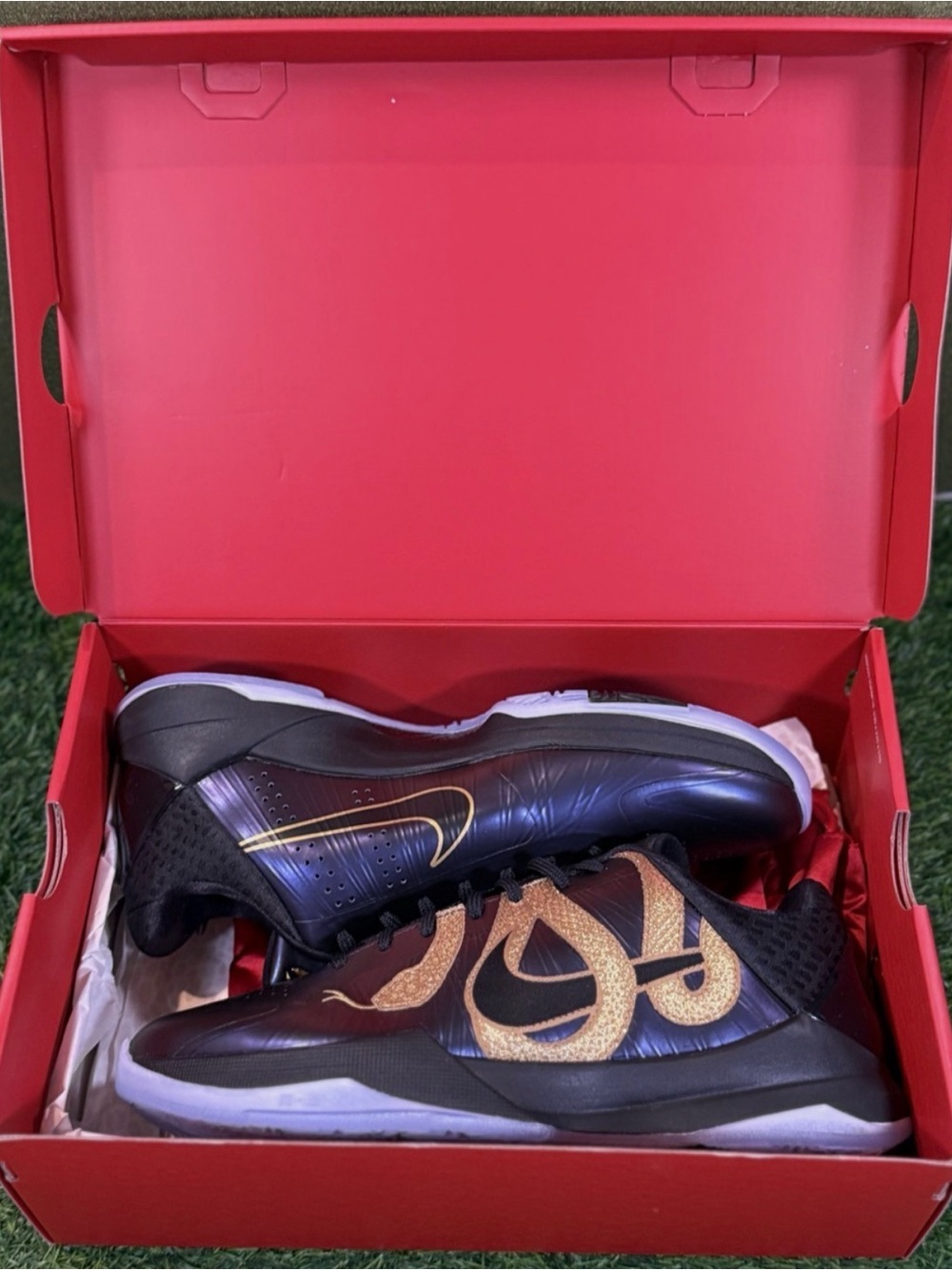 Nike Kobe 5 Protro 'Year of the Mamba Eggplant' (Size 10.5) *Brand New w/ OG All